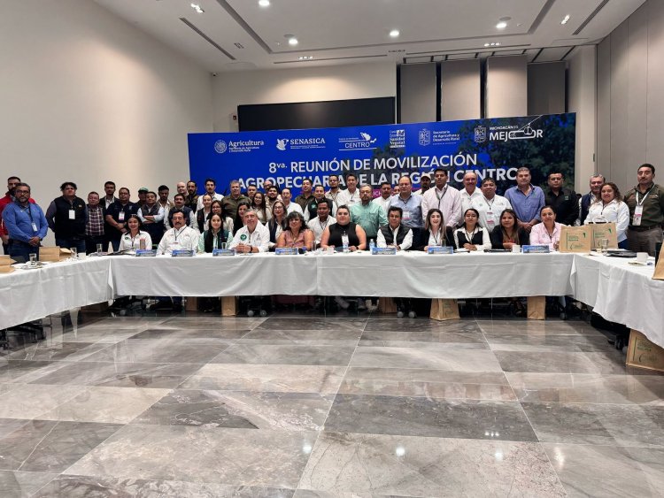 Apoya gobierno de Morelos  la exportación del aguacate