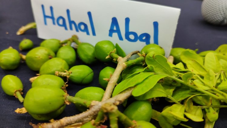 UAEM, sede de reunión nacional  de la Red de Ciruelas Mexicanas