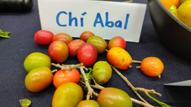 UAEM, sede de reunión nacional  de la Red de Ciruelas Mexicanas