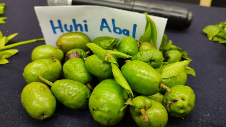 UAEM, sede de reunión nacional  de la Red de Ciruelas Mexicanas