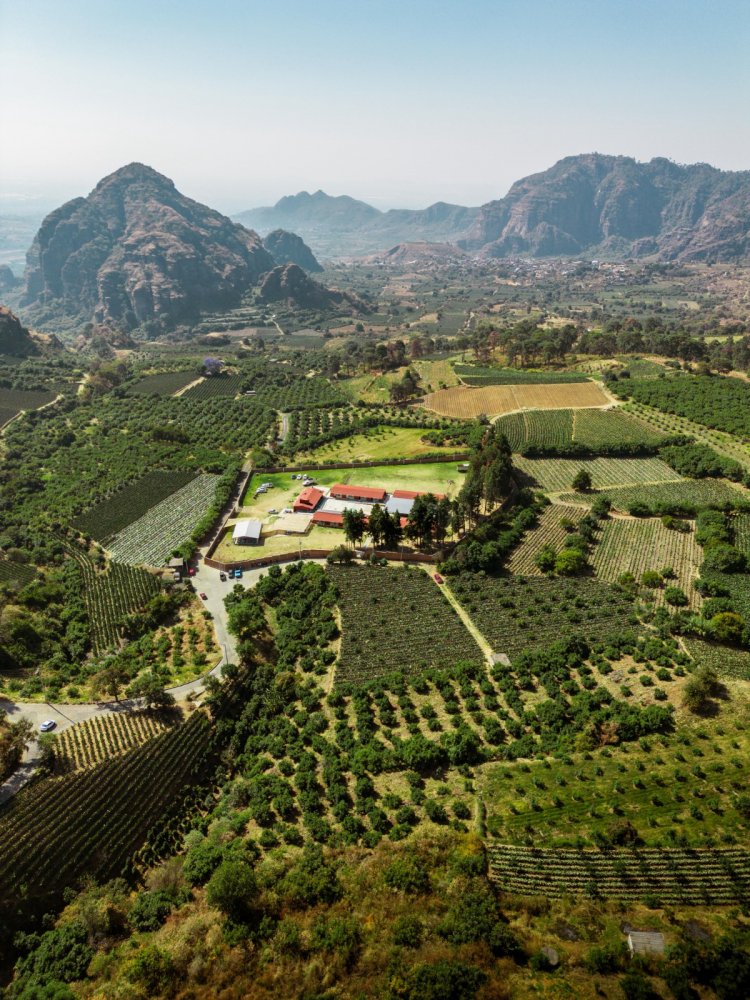 Firmó el gobierno convenio para  la protección de la biodiversidad