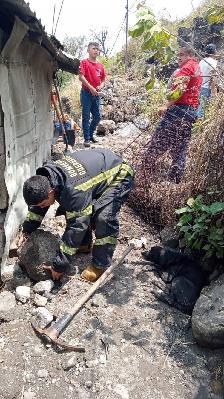 Árboles colapsados y derrumbe de  rocas por las lluvias en Cuernavaca