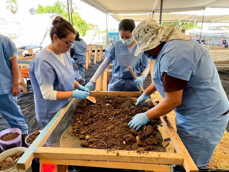 Reactivaron la penosa labor de  exhumación de restos en Jojutla