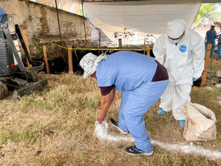 Reactivaron la penosa labor de  exhumación de restos en Jojutla