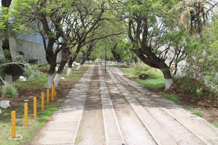 Con programa Corredor Seguro fortalece  Eder Rodríguez seguridad para mujeres