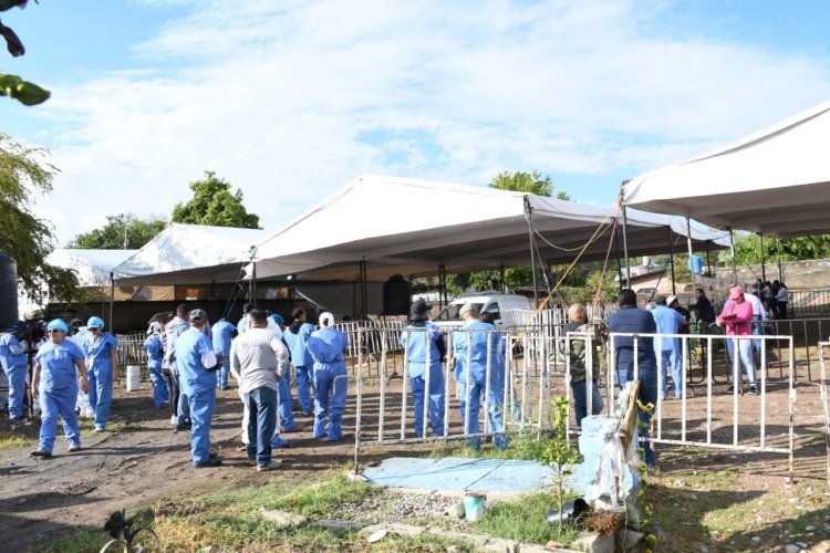 Restos de niños fueron hallados  en diligencia en panteón de Jojutla