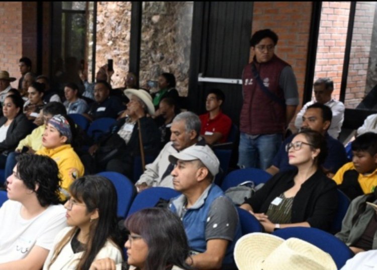 Trabajo arduo de la máxima casa  de estudios por Bosque de Agua