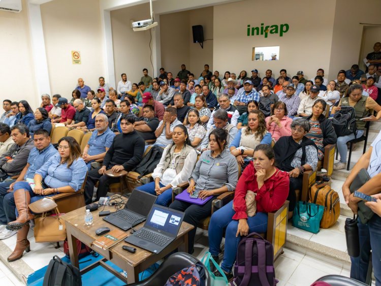 Se capacita para mejorar el  cultivo del maíz en Morelos