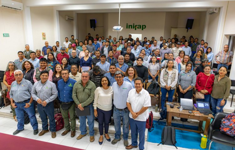 Se capacita para mejorar el  cultivo del maíz en Morelos