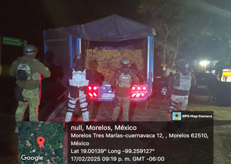 Se han dado importantes golpes contra la tala ilegal