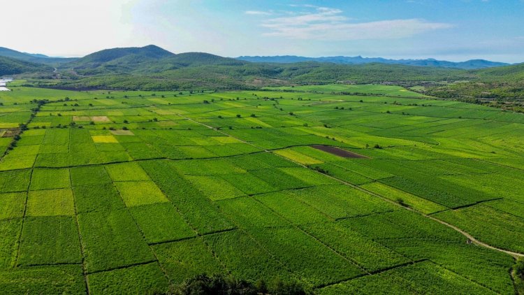 Junto con investigadores,  promueven la agroecología