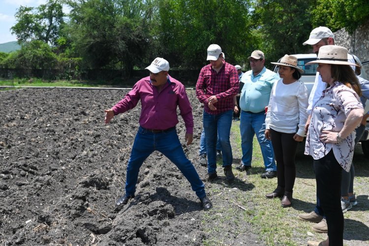 Junto con investigadores,  promueven la agroecología