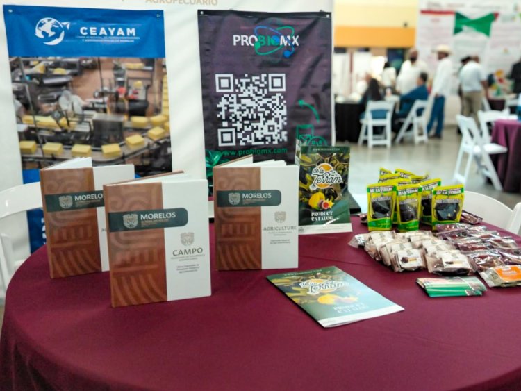 Posicionan al campo de  la entidad a nivel global