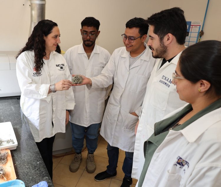 Desde UAEM se labora por mitigar  la contaminación en suelo y agua