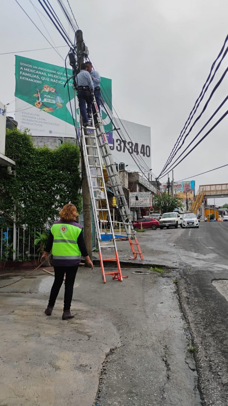 Árboles, barda y poste caídos e  inundaciones padeció la capital