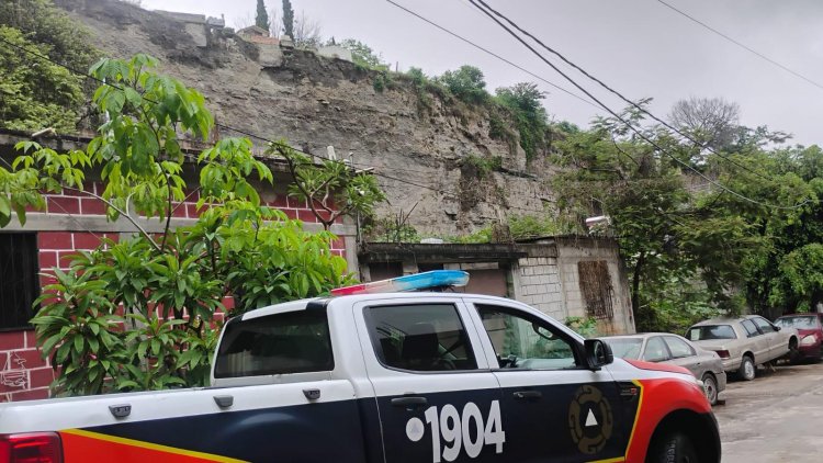 Árboles, barda y poste caídos e  inundaciones padeció la capital
