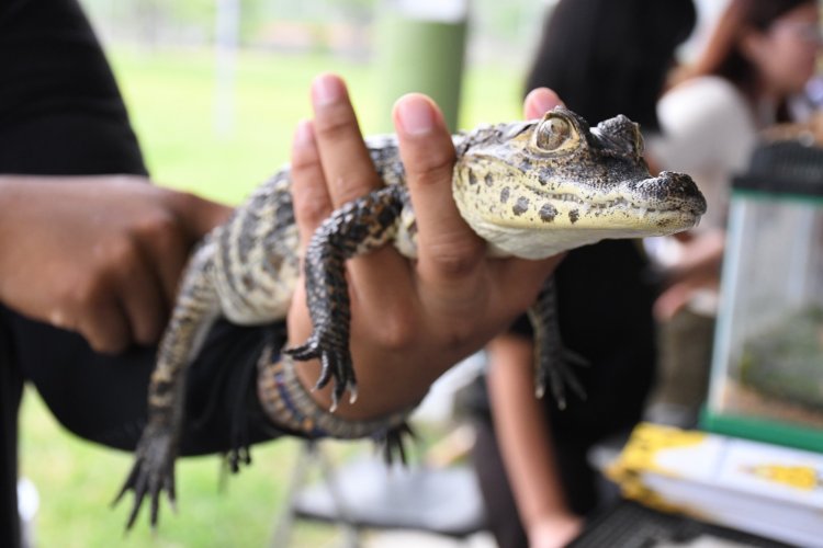 La Upemor organizó   Feria Ambiental 2025