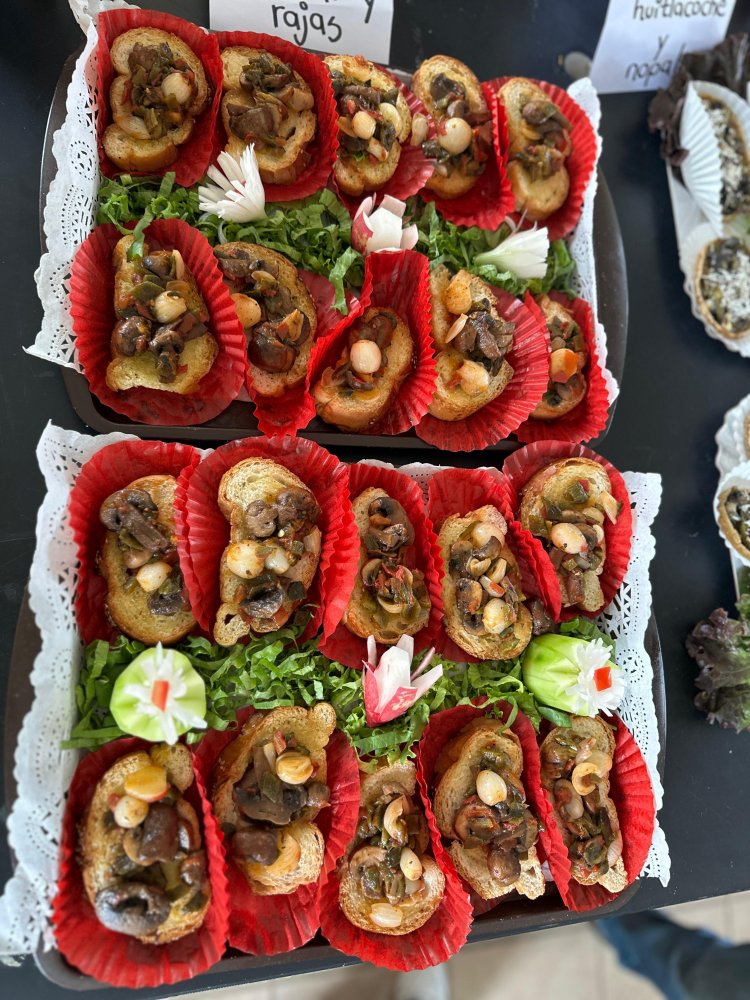 Impulsa UAEM el cultivo de setas para autoempleo y la soberanía alimentaria