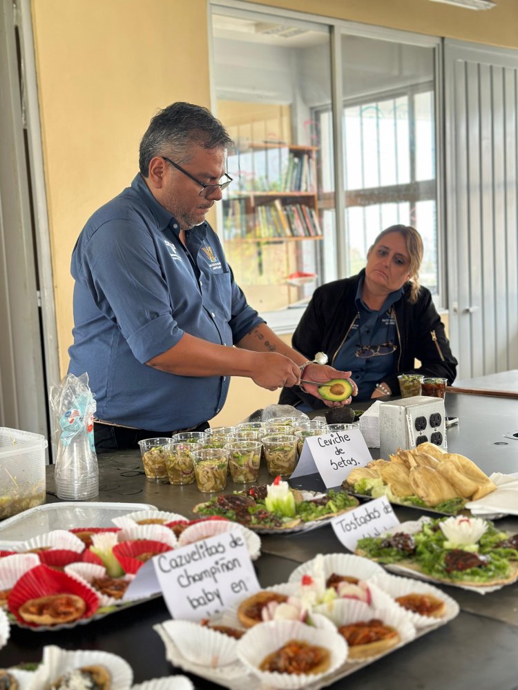 Impulsa UAEM el cultivo de setas para autoempleo y la soberanía alimentaria