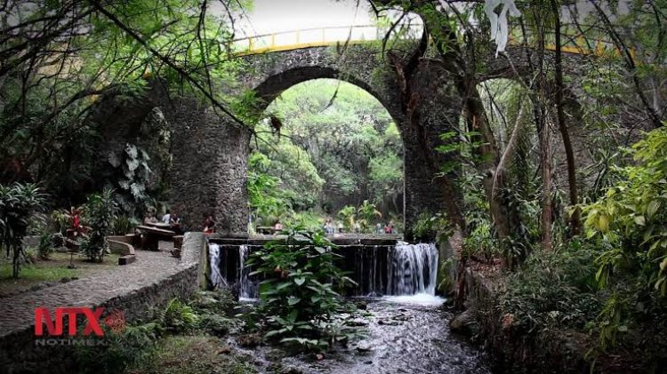 Se limpia el lago del parque Chapultepec