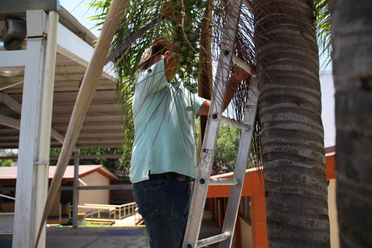 Con “Manos a la Escuela”, Jiutepec  rehabilita los planteles educativos