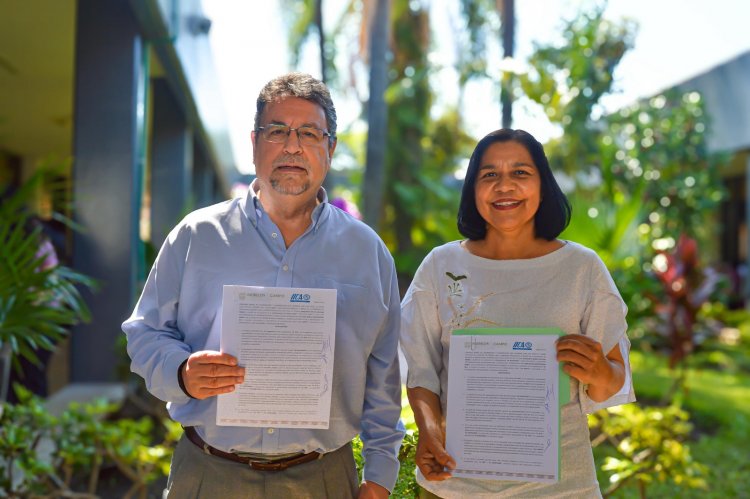 Suman esfuerzos Sedagro e IICA  por el desarrollo rural sostenible