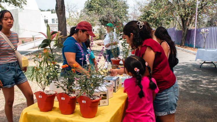Llevan también a Xoxocotla el curso de verano científico