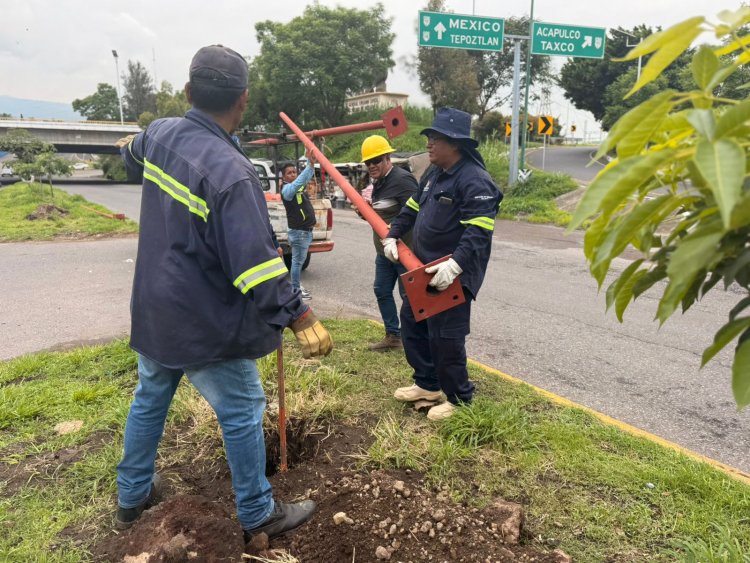 Nuevas luminarias en Av.  V. Guerrero de Cuernavaca