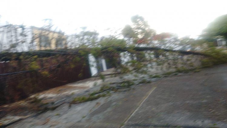 SEPRAC responde a reportes por lluvias del sábado