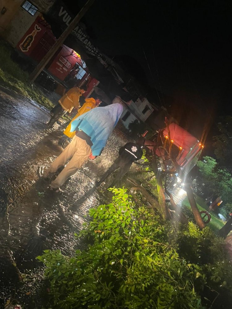 Sucumben árboles por el agua y viento en Yautepec