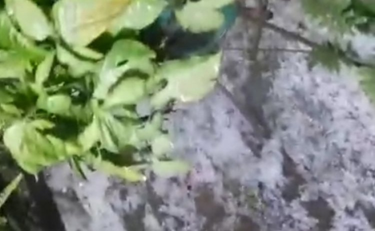 Muchos estragos ocasionaron las  lluvias del miércoles en la capital