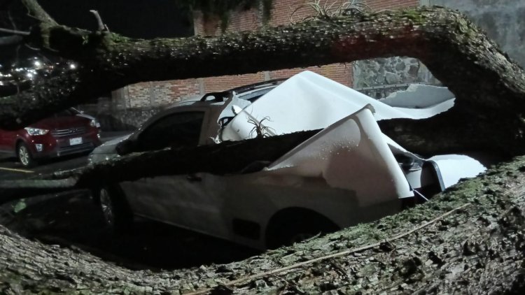 Muchos estragos ocasionaron las  lluvias del miércoles en la capital