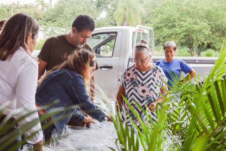 Gobierno de Cuernavaca cuadruplicó  su apoyo a productores ornamentales