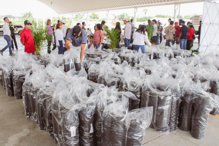 Gobierno de Cuernavaca cuadruplicó  su apoyo a productores ornamentales