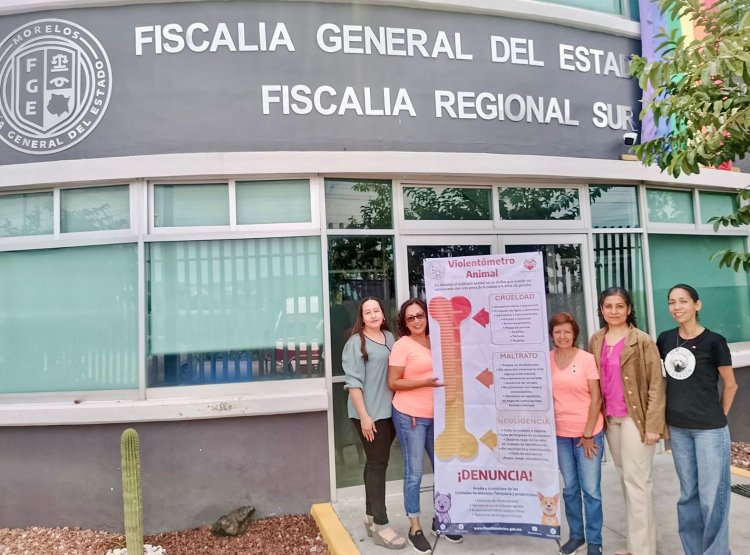 Para frenar crímenes contra animales, hay violentómetro