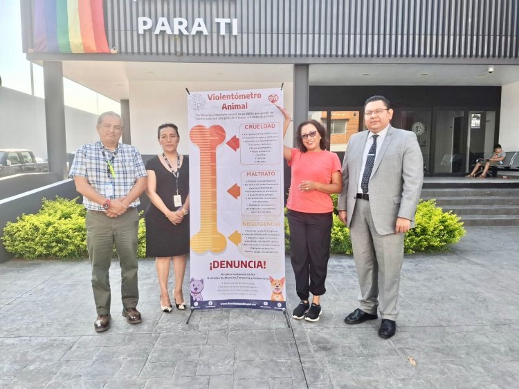 Para frenar crímenes contra animales, hay violentómetro