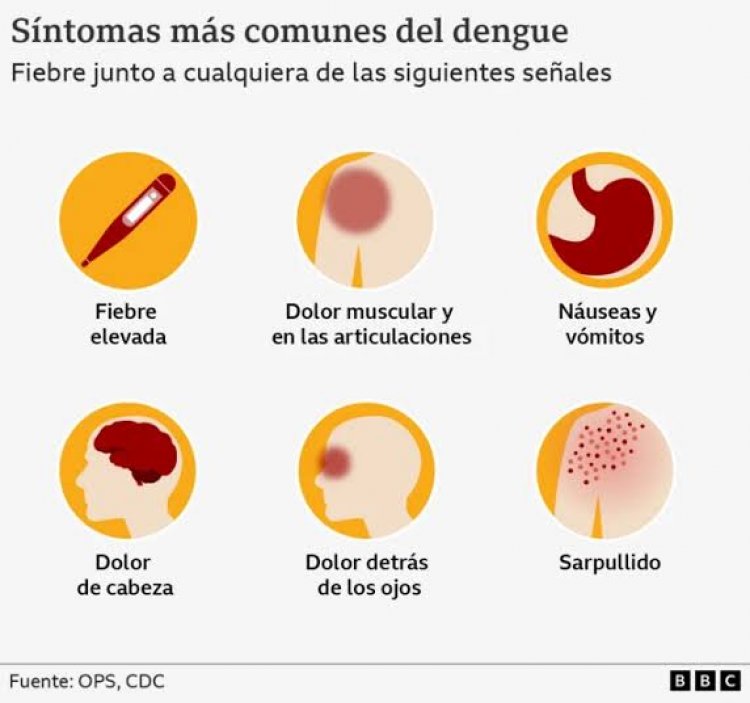 Dañino, automedicarse  con síntomas de dengue