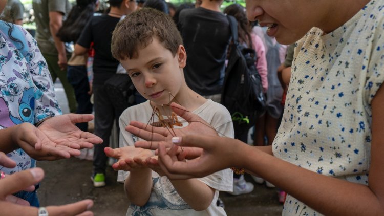 Finalizó curso de verano científico  para niños en parque Chapultepec