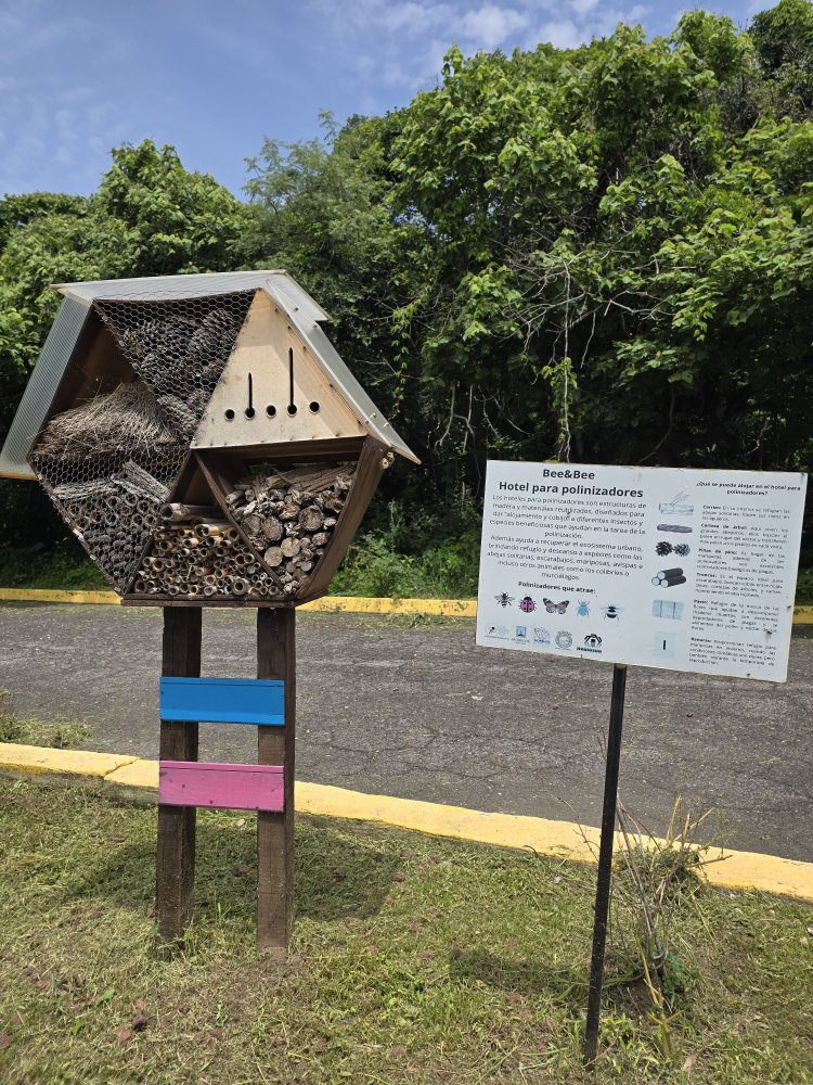 Trabajan investigadores para  proteger Laguna de Hueyapan