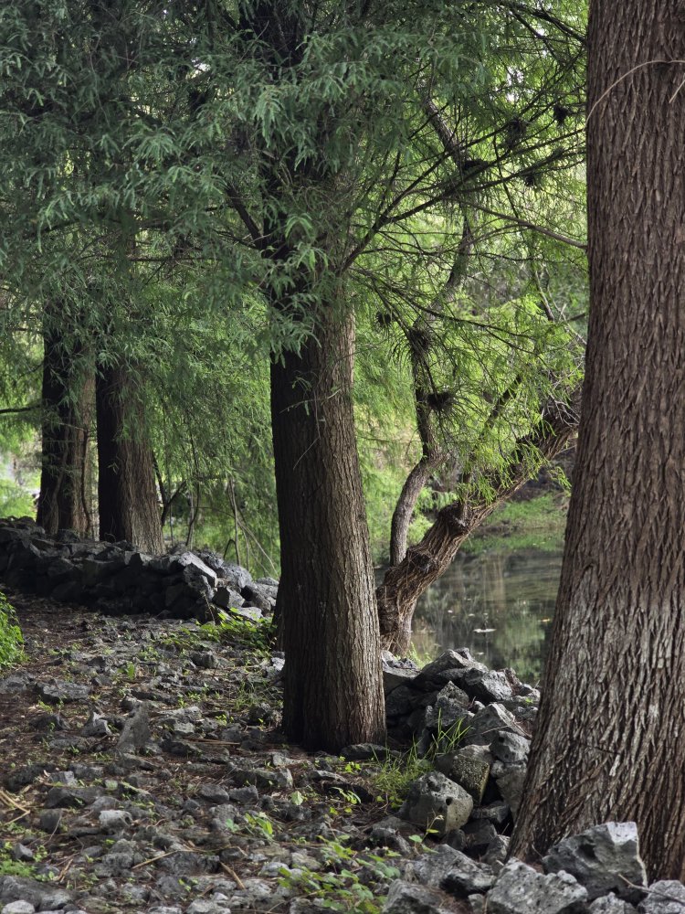 Trabajan investigadores para  proteger Laguna de Hueyapan
