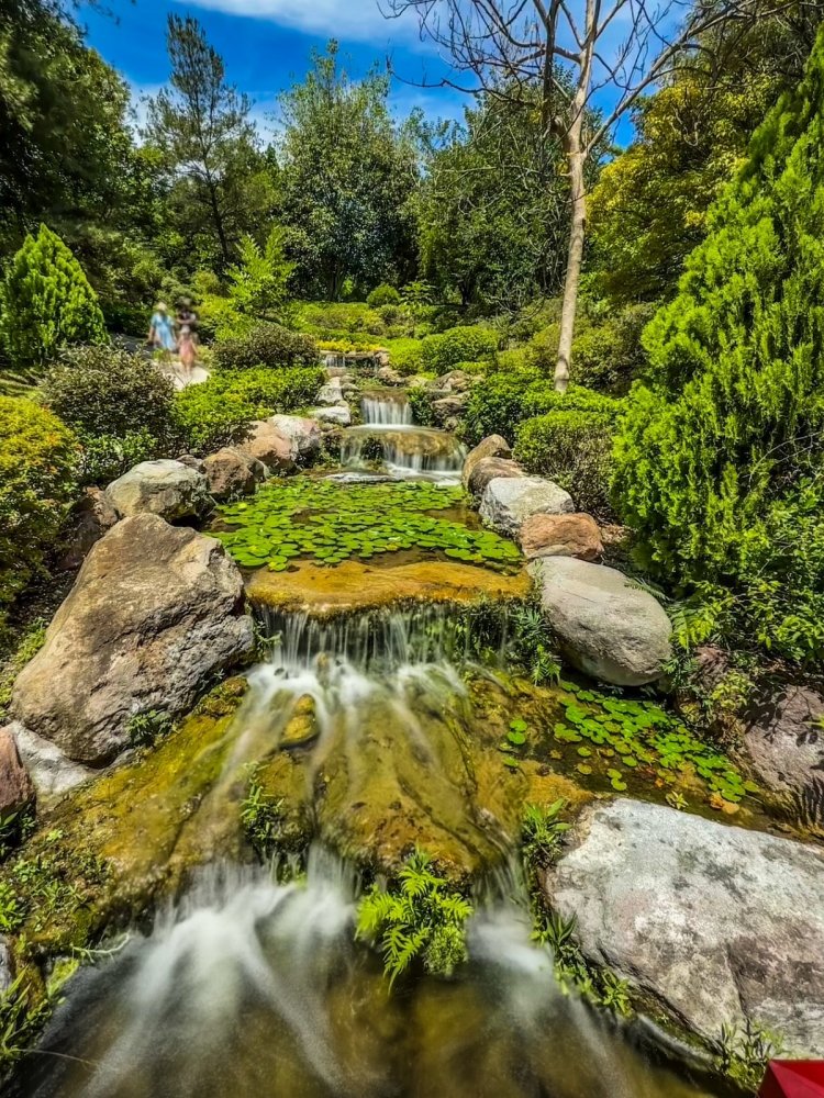 Allanan el camino para locaciones de Amazon