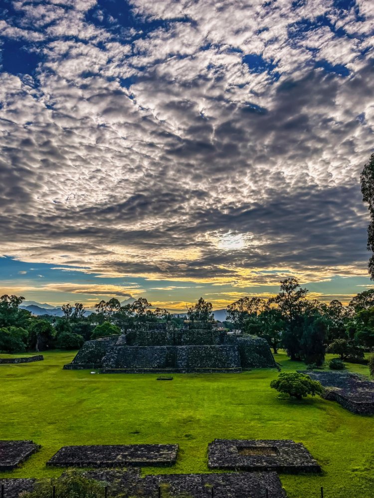 Allanan el camino para locaciones de Amazon