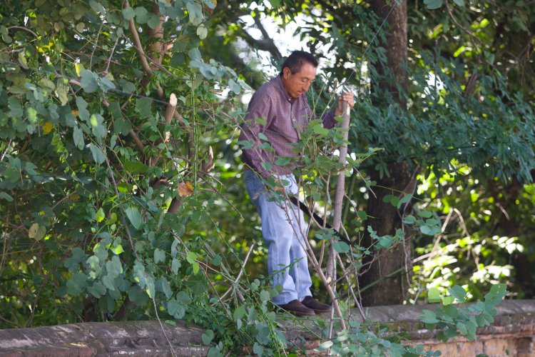 Trabaja Jiutepec por espacios  públicos más limpios y dignos