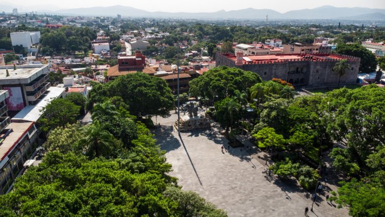 Se inician trabajos de revitalización del  arbolado en la Plaza de Armas capitalina
