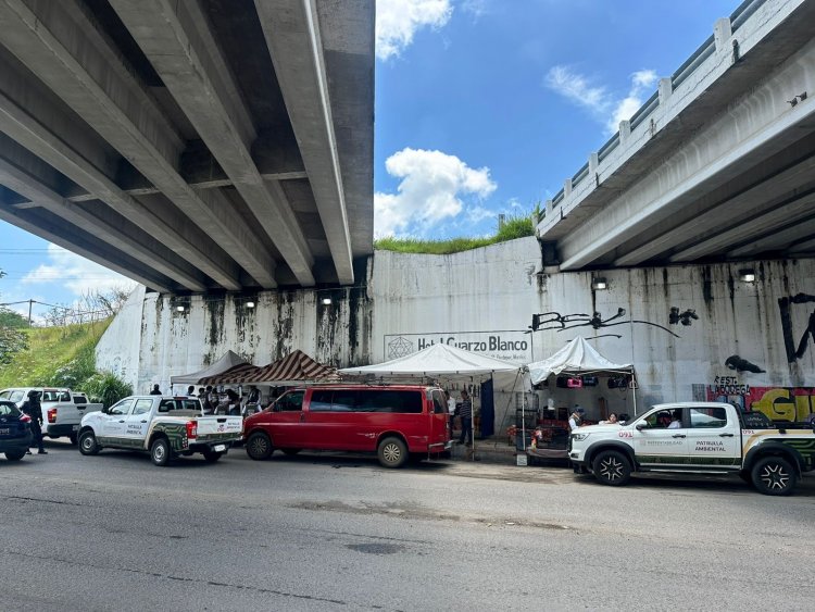 Aseguraron a mascotas ilegalmente  en venta en vía pública de Cuautla