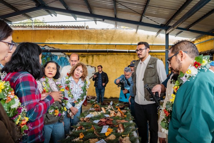 Se llevó a cabo la Tercera Fiesta Del Hongo de 2025