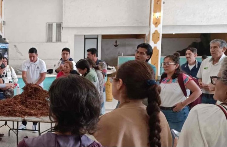 UAEM brindó todo su apoyo a  fiesta en San Juan Tlacotenco