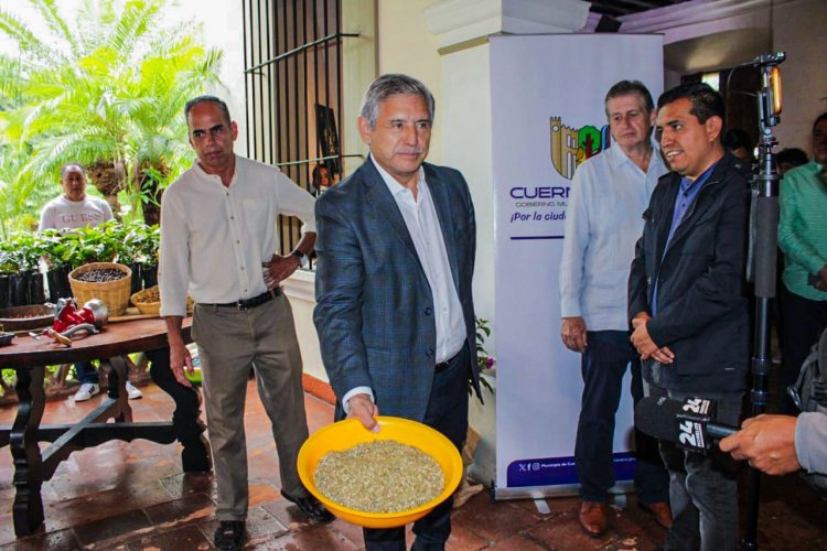 Cuernavaca se posiciona como una urbe cafetalera