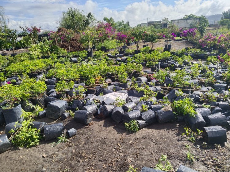Apoya Eder Rodríguez a viveristas  afectados por lluvias en Jiutepec