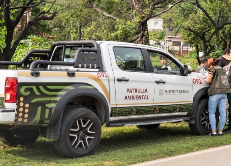 Secretaría de Desarrollo Sustentable  dio apoyo a yegua herida en Tepoztlán